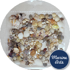 Craft Pack - Assorted Mini Craft Shells (Approx 300 Number *)